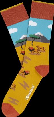 Produktbild Moustard Wild Box (Einzelpack, 41 - 46)