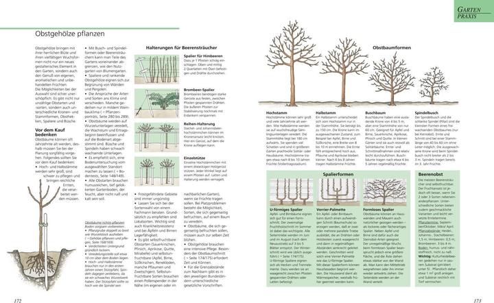 Actual product image Das grosse Gartenbuch (German, Jürgen Becker, 2016)