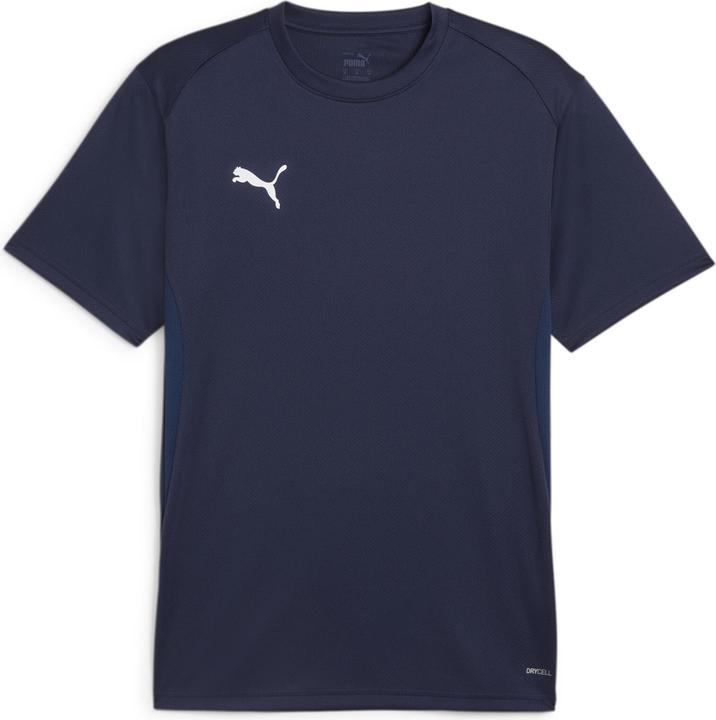 Puma teamGOAL Jersey