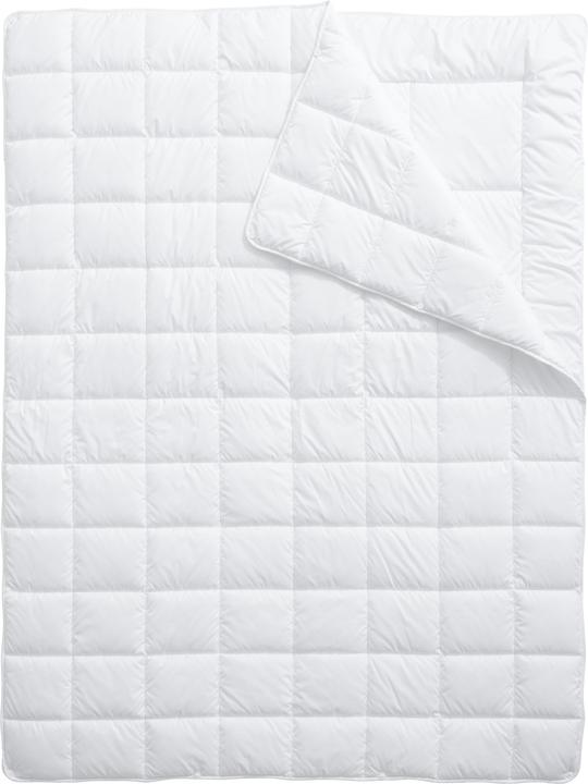 Actual product image Billerbeck Clivia (1740 g, 160 x 210 cm)