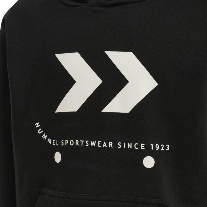 Produktbild hummel Skate Hoodie (116)