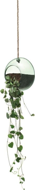 Actual product image LSA Canopy Hanging Planter Ø12cm recy. Optics (7 cm)