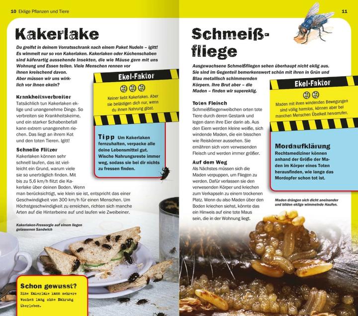 Image du produit Die 100 ekligsten Dinge der Welt (Allemand, Anna Claybourne, 2024)