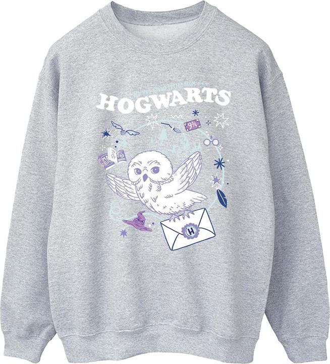 Owl Letter From Hogwarts Sweatshirt (M)