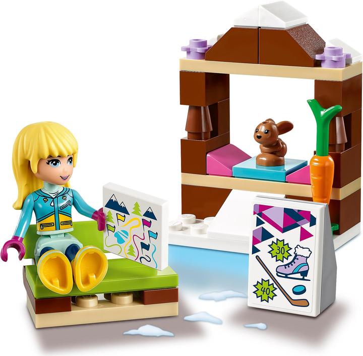Actual product image LEGO Ice rink in the winter sports resort (41322, LEGO Friends)