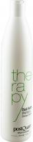 Produktbild Postquam Dual Action Shampoo (500 ml) (500 ml, Flüssiges Shampoo)