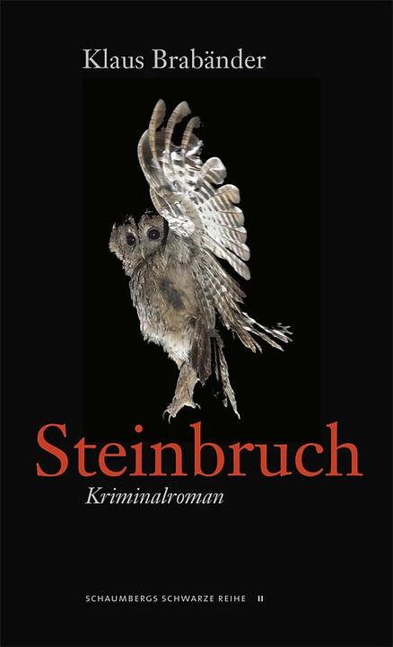 Produktbild Steinbruch (Deutsch, Klaus Brabänder, 2015)