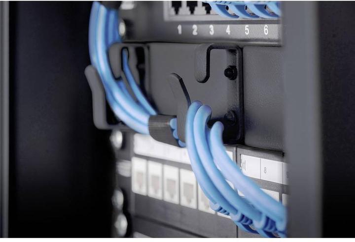 Actual product image Digitus 10" Cable management panel