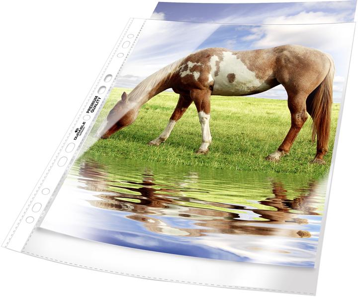 Image du produit Durable CUILLES DE PROSPECT PREMIUM 1 sachet Ã 50 pcs. 267719 (A4, 50 x)