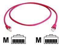 Actual product image Telegärtner MP8 FS 600 (S/FTP, CAT6a, 15 m)
