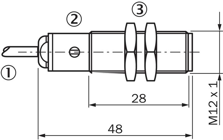 Actual product image Sick magnetic proximity switch (Switch)
