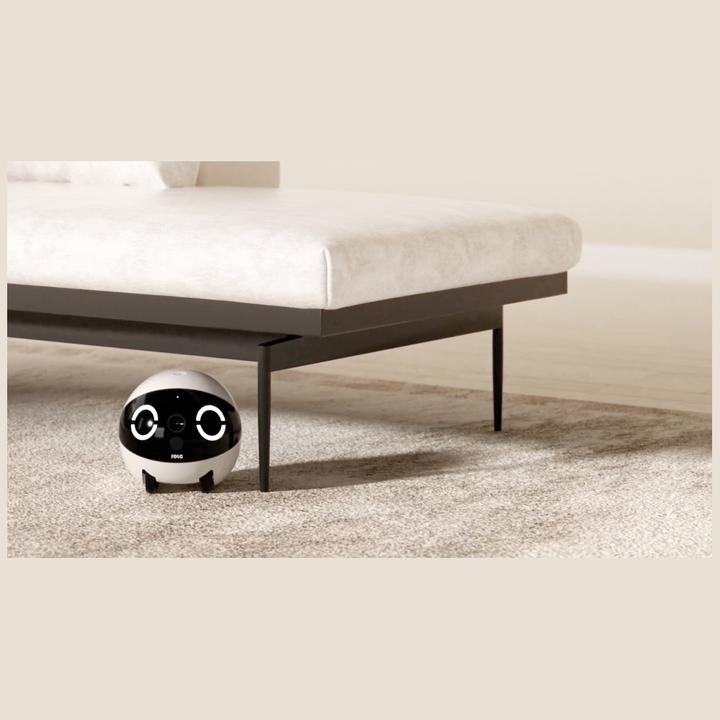 Produktbild Enabot Rola Mini Companion Robot (2304 x 1296 Pixels)