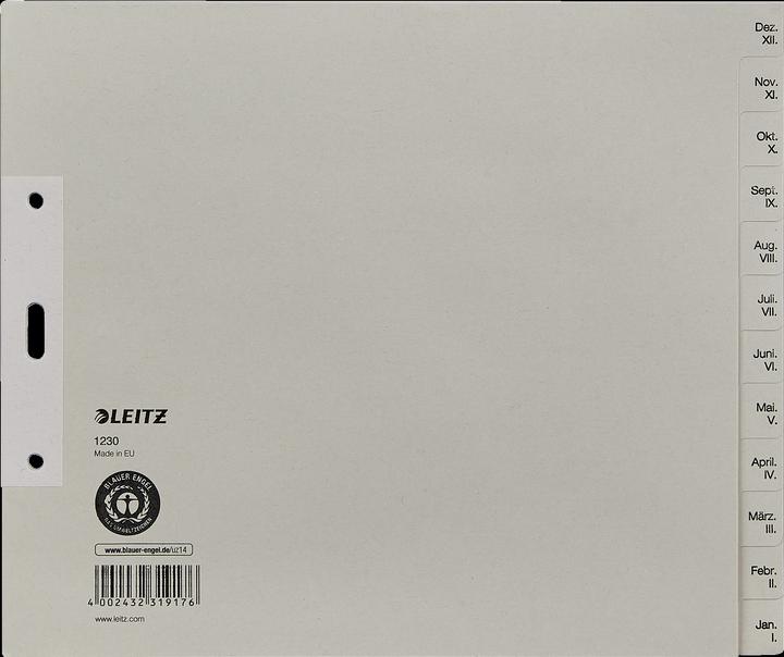Produktbild Leitz Papierregister Monate