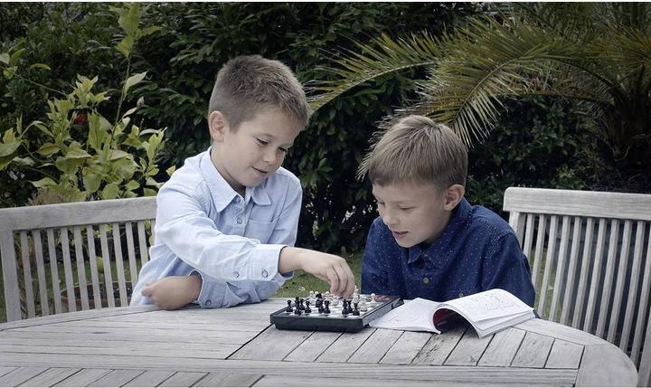Productafbeelding Millennium Karpov Schaakschool