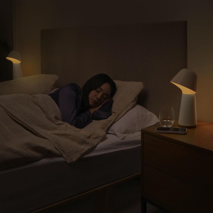 Immagine prodotto Philips Hue White & Color Ambiance Twilight (1380 lm)