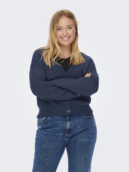 Image du produit Only Cardigan curvy col V (L)