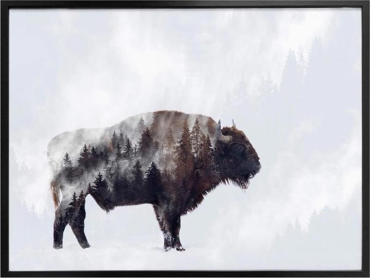 Produktbild Trenddeko Der Bison (60 x 50 cm)