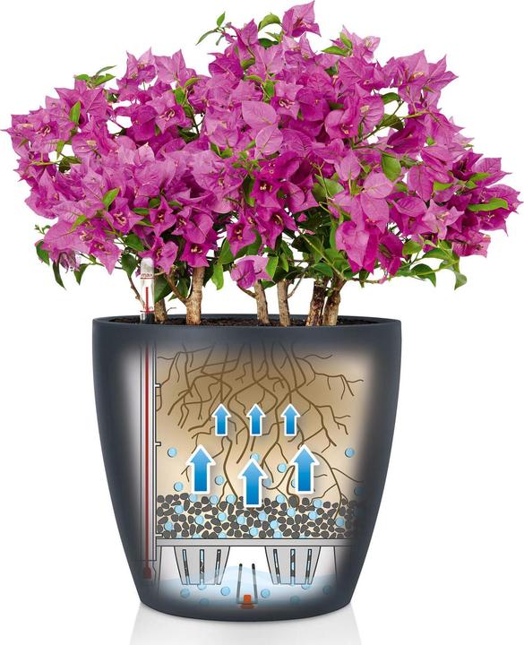 Produktbild Lechuza Classico 18 (19 cm)