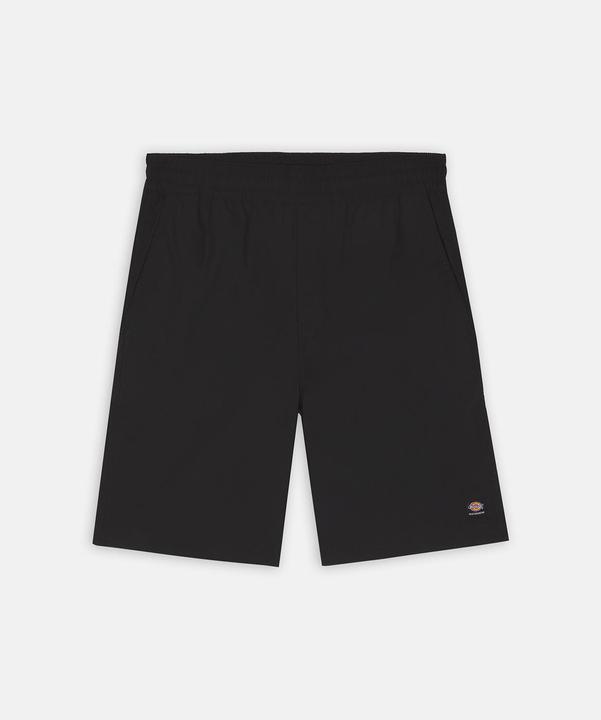 Actual product image Dickies Jackson Cargo Shorts (S, L)