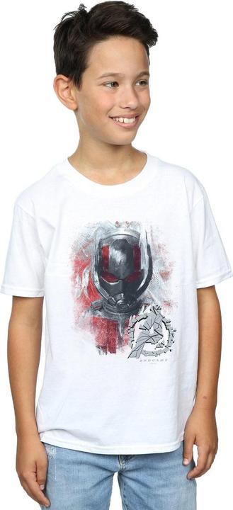 Actual product image Boys Avengers Endgame Ant-Man Brushed T-Shirt (140, 146)