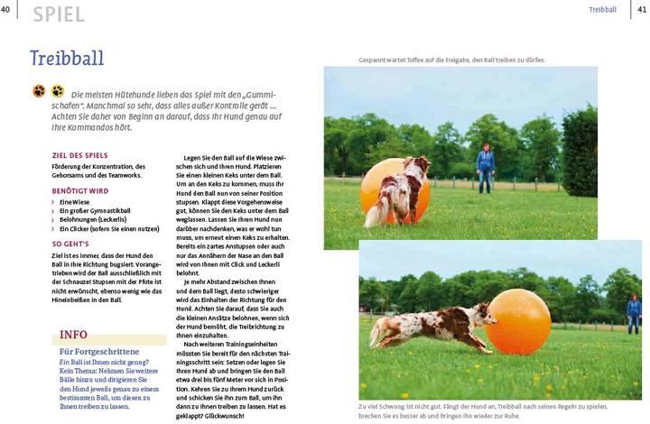 Actual product image Spiele und Action für ausgeglichene Hütehunde (German, Marion Albers, 2023)