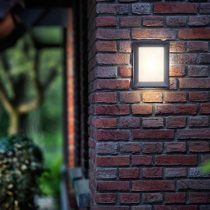 Image du produit Philips myGarden Karp (600 lm)