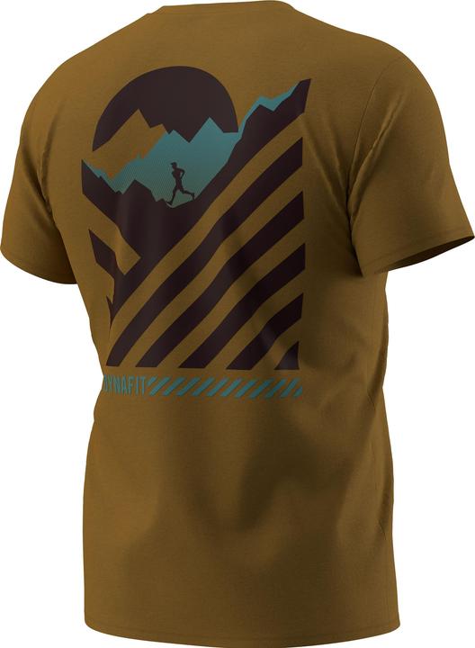 Actual product image Dynafit 24/7 Graphic T-Shirt (L)