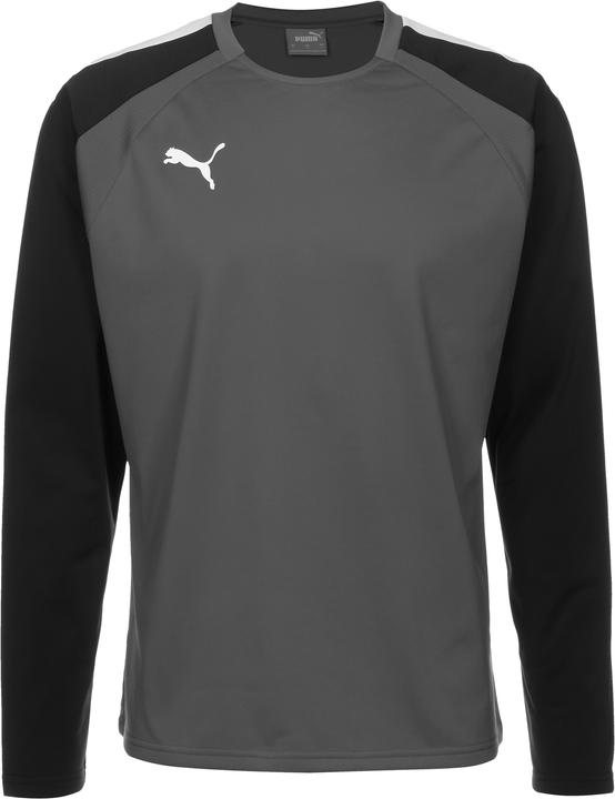 Puma TeamLIGA Trainingssweat Herren