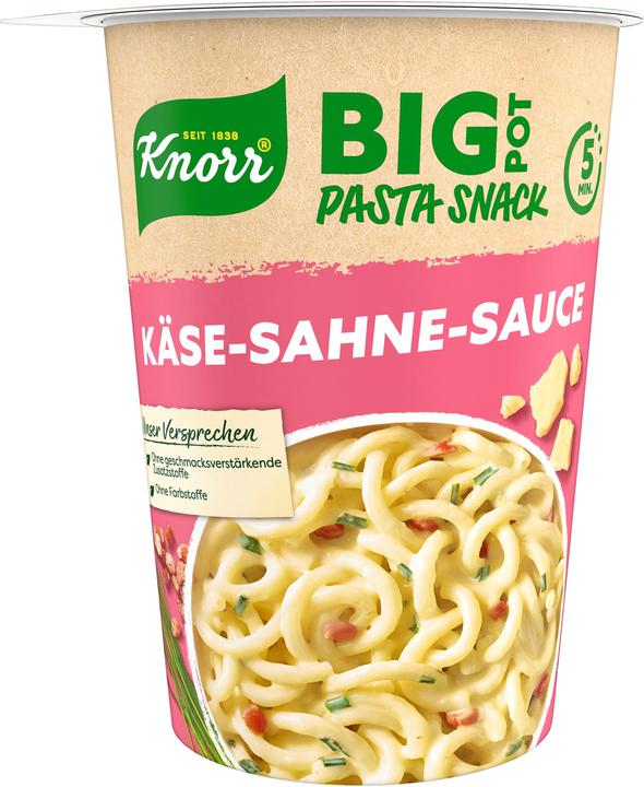 Image du produit Knorr Snack Big Pasta POT Sauce au fromage et à la crème (92 g)