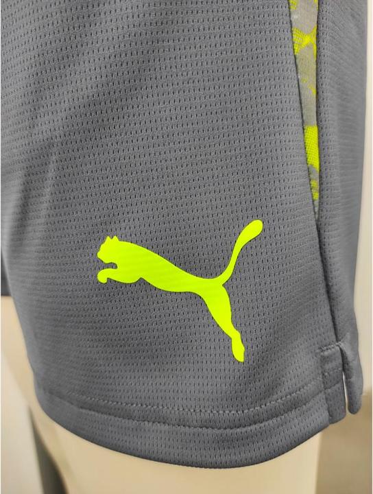 Image du produit Puma individualCUP Short (L)