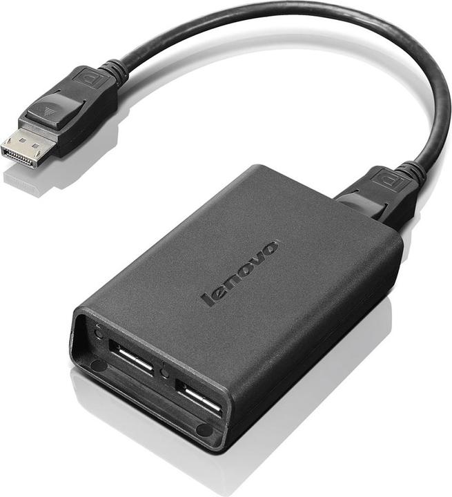 Actual product image Lenovo DisplayPort closed (USB-A, 20 cm)