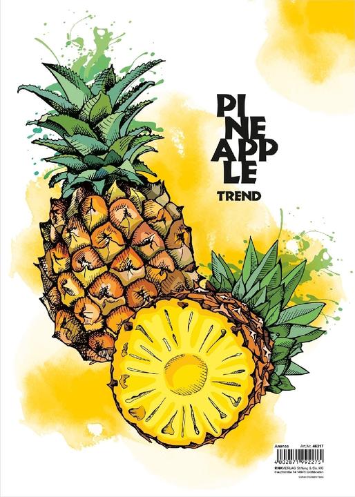Actual product image Rnk Drawing folder A4 pineapple (A4, 1 x)