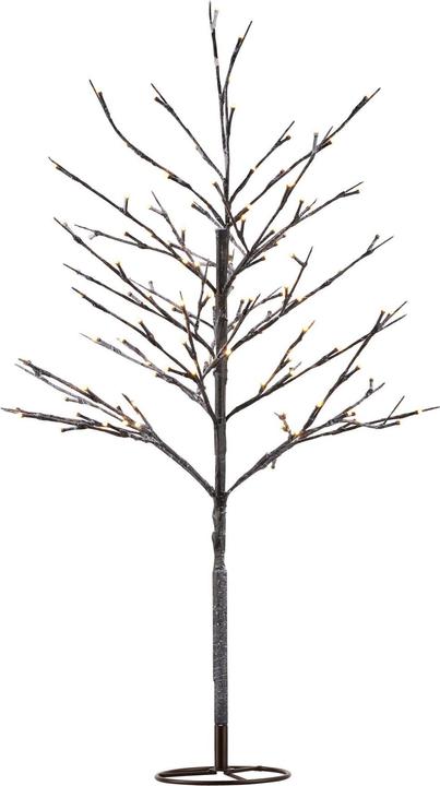 Actual product image Sirius Alex