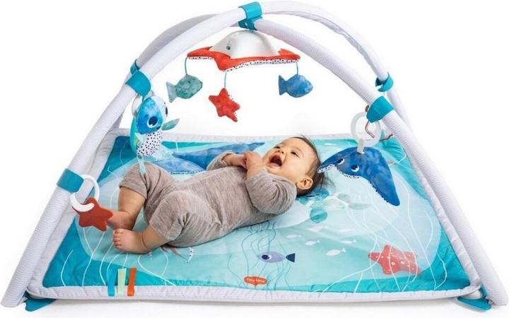 Actual product image Tiny Love Develop with care