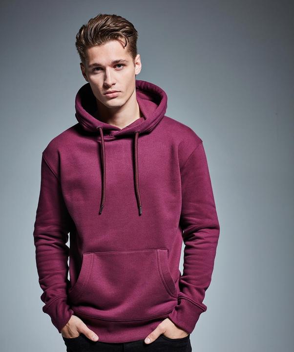 Actual product image Anthem Hooded jumper from organic farming (XL)