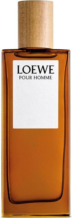 Perfumes Loewe Loewe Pour Homme Eau de Toilette 50 ml (Eau de Toilette, 50 ml)