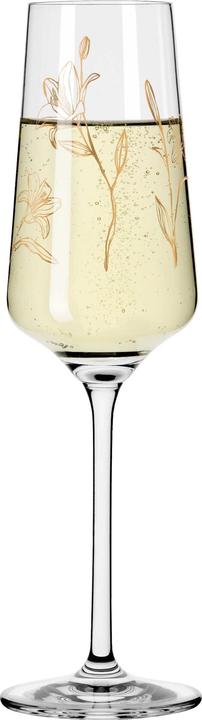 Actual product image Ritzenhoff Champagne glass Rosé Breeze No. 4 - Marvin Benzoni 233 ml (23.30 cl, 1 Glasses, Champagne glasses)