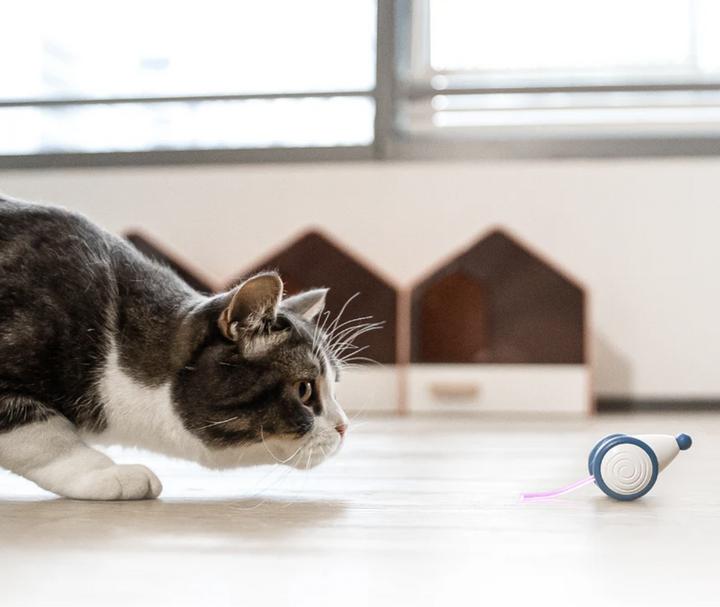 Produktbild Cheerble Wicked Mouse (Spielmaus Katze)