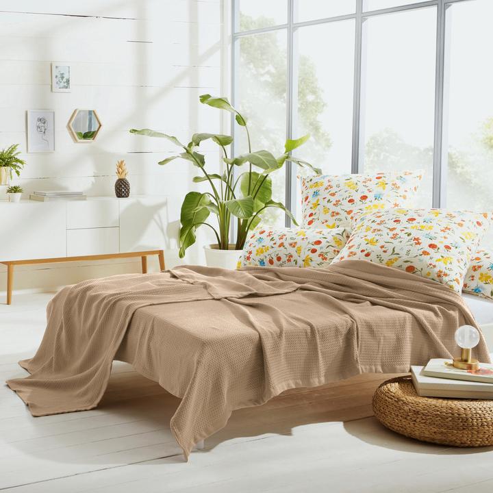 Immagine prodotto Erwin Müller Coperta estiva (100 x 150 cm)