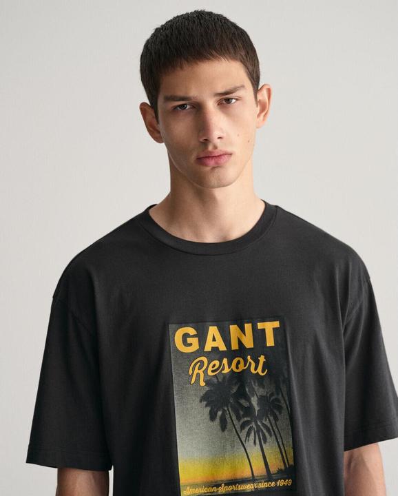 Actual product image GANT t-shirt washed graphic (L)