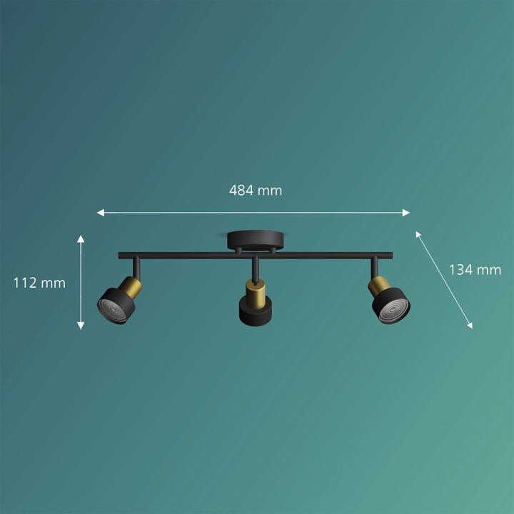 Image du produit Philips Conduit (GU10)