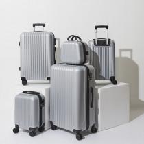 Immagine prodotto Jet Lag cassa tokyo argento x5 18l 24l 37l 66l 100l (100 l, L (90 - 115l))