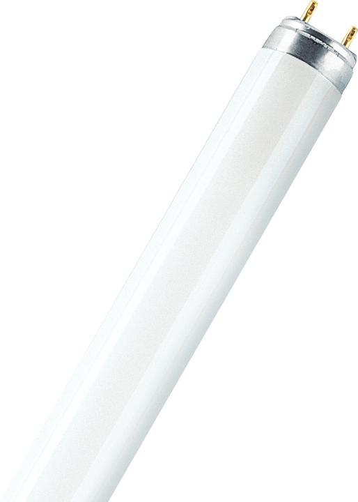 Produktbild Osram Leuchtstofflampe (G13, 18 W, 1350 lm, 1 x, G)
