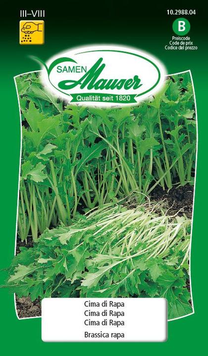 Actual product image Samen Mauser Cima di rapa (Vegetable seeds)