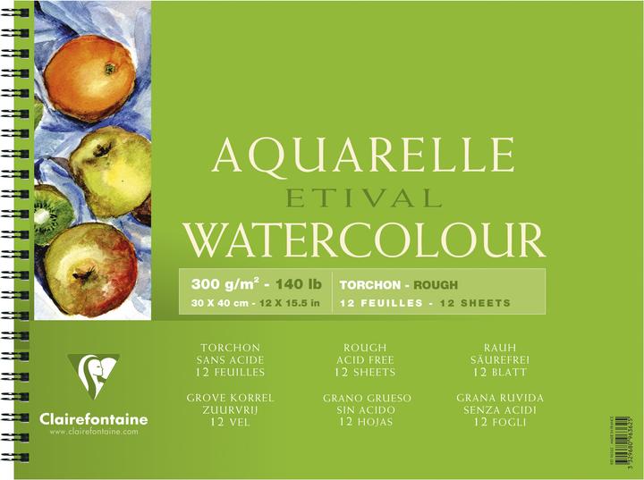Clairefontaine Techniques humides (300 g/m², 20 x)