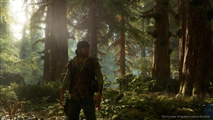 Produktbild Sony Days Gone, PS4 Standard PlayStation 4 (PS4)