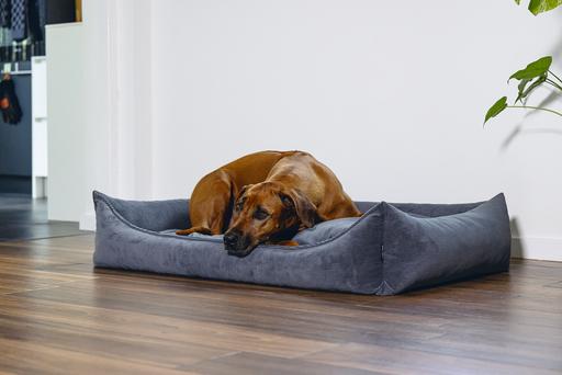 Produktbild Beeztees Veo (Hund)