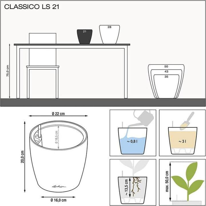 Image du produit Lechuza Classico (22 cm)