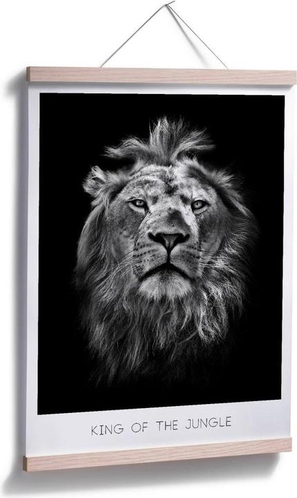 Immagine prodotto Trenddeko Leone - Re della giungla (100 x 120 cm)