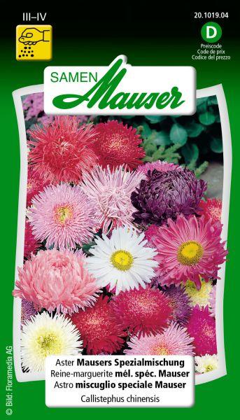 Image du produit Samen Mauser Mélange spécial d'Aster Mauser (Graines de fleurs)